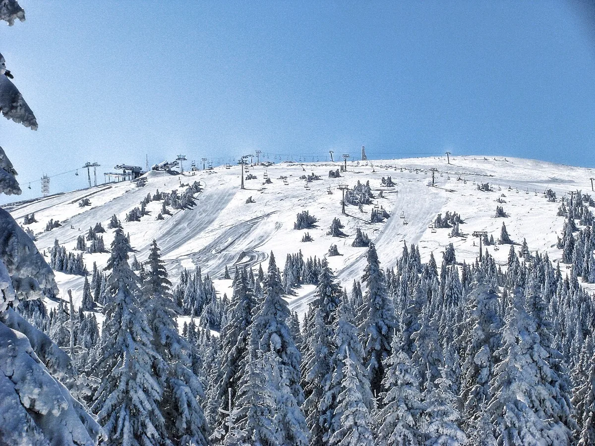 Kopaonik, Serbia. Photo: Ratko Bozovic (CC BY 2.0); resized and converted to WebP.